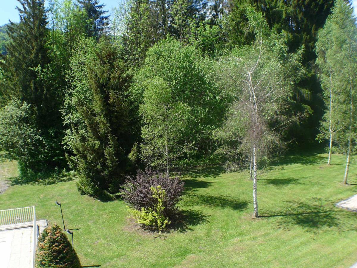 Appartement Cosy Avec Piscines, Parking Et Wifi A Samoens - Fr-1-629-32 外观 照片